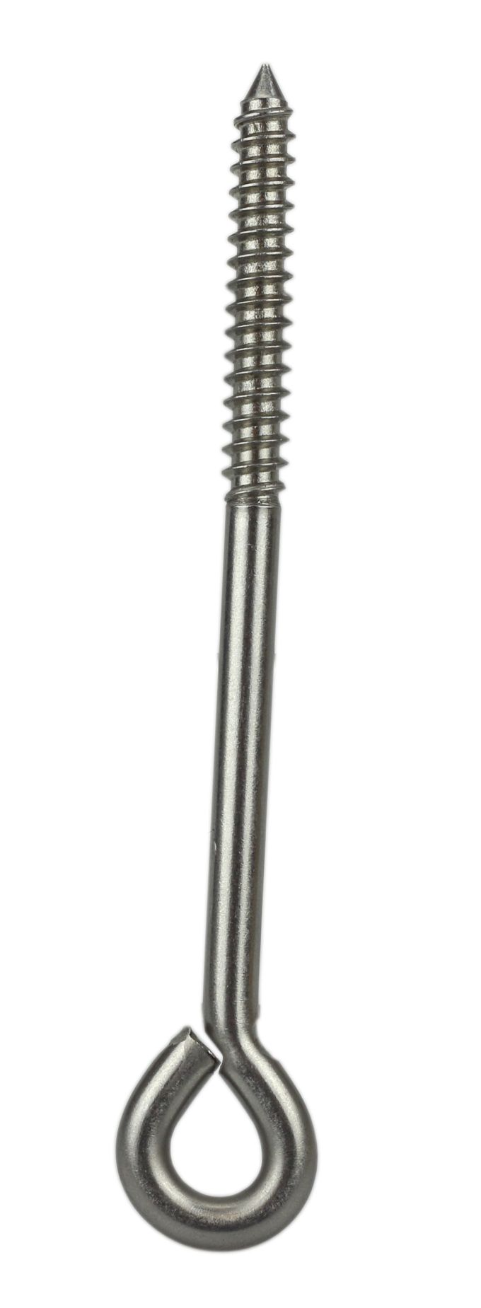 Coach Screw 120 mm,